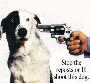 foto k příspěvku  od CervinVega