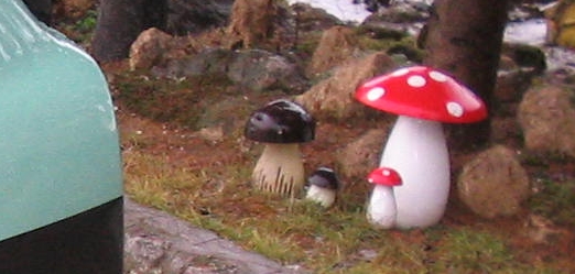 foto k příspěvku  od Rustapha-659