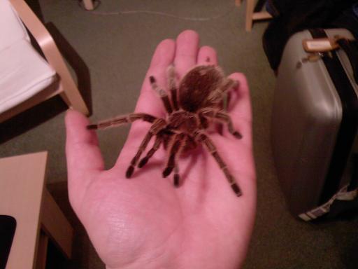 foto k příspěvku  od kuja