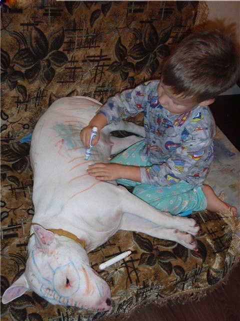 foto k příspěvku  od addamec