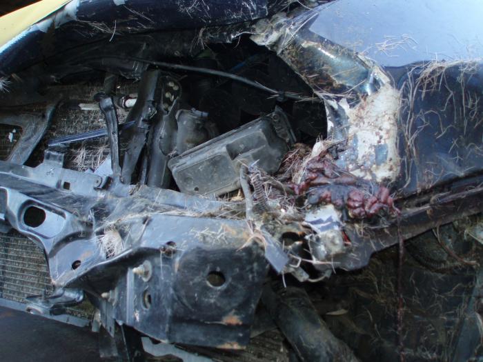 foto k příspěvku  od kral007 (eXtrem-audio.cz)