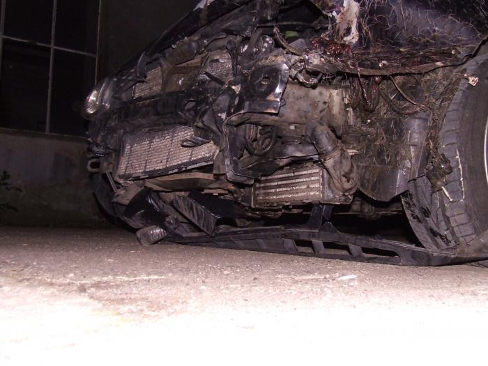 foto k příspěvku  od Pagoš