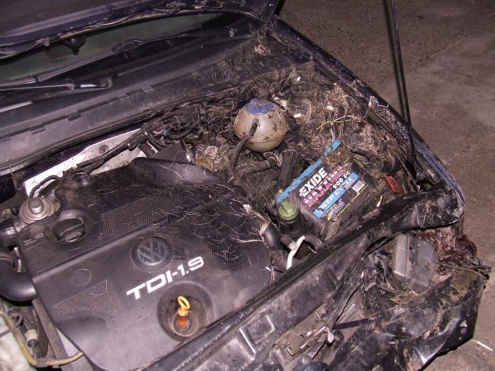 foto k příspěvku  od Pagoš