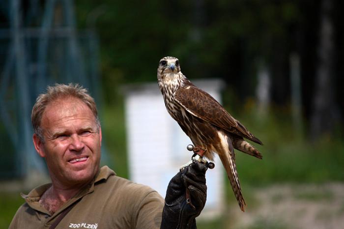 foto k příspěvku  od Mr.Scully