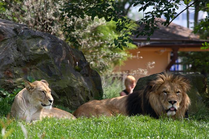 foto k příspěvku  od Mr.Scully