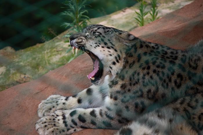 foto k příspěvku  od Mr.Scully