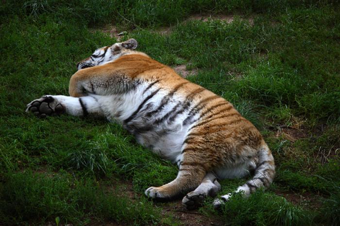 foto k příspěvku  od Mr.Scully