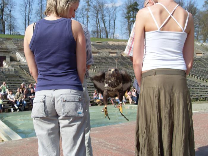 foto k příspěvku  od Lucass