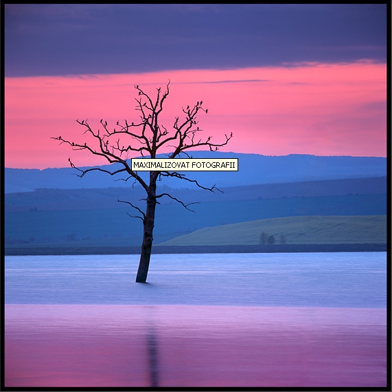 foto k příspěvku  od Crimson