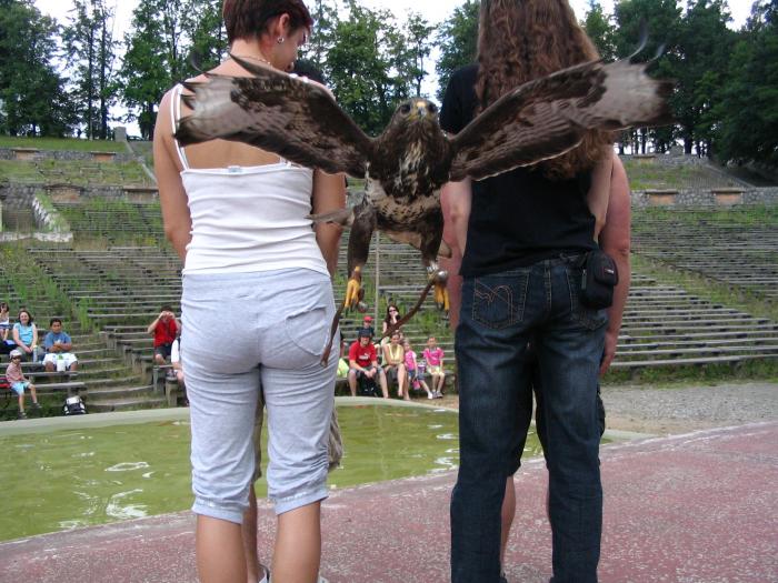 foto k příspěvku  od MATTESS