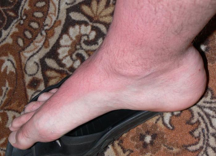 foto k příspěvku  od HIGHTOWER