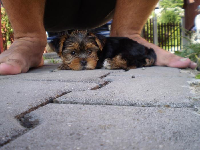 foto k příspěvku  od P3RF3KT