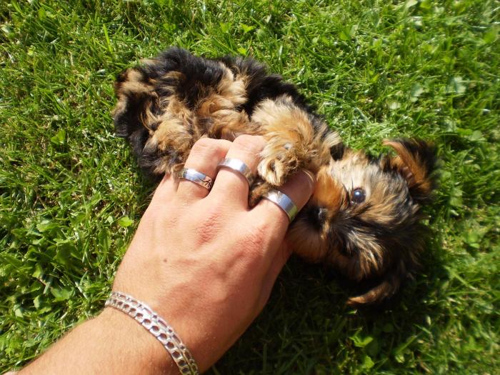 foto k příspěvku  od P3RF3KT