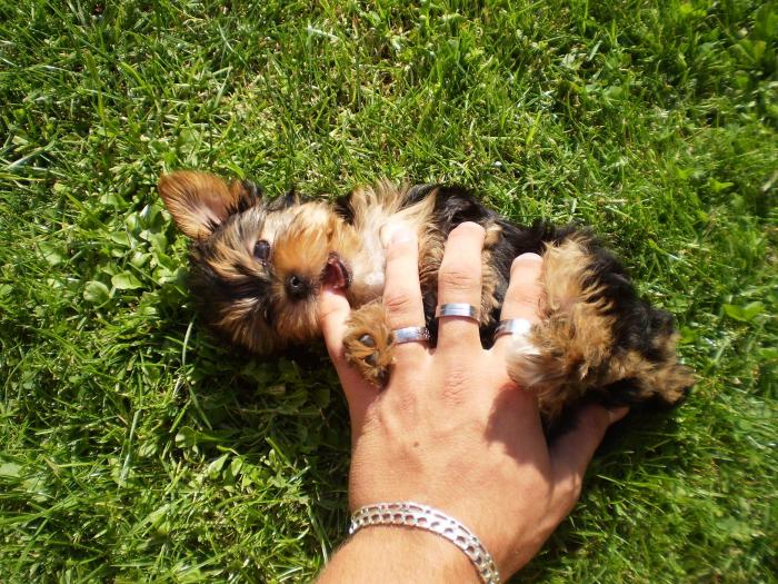 foto k příspěvku  od P3RF3KT