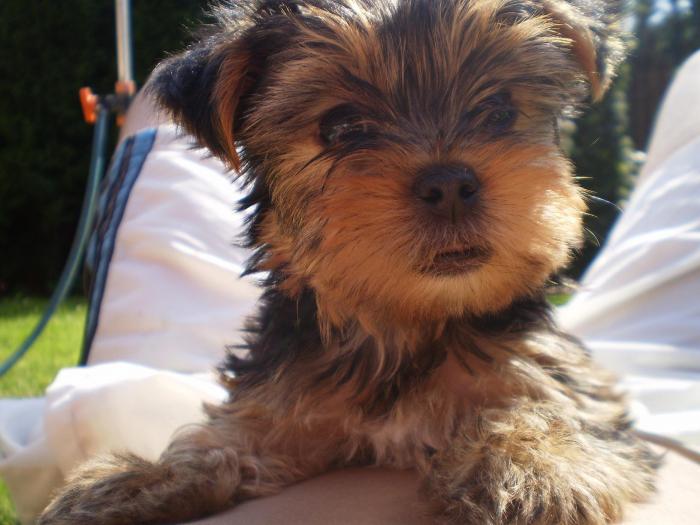 foto k příspěvku  od P3RF3KT