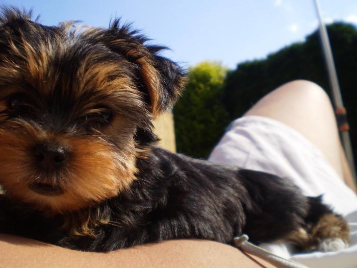 foto k příspěvku  od P3RF3KT