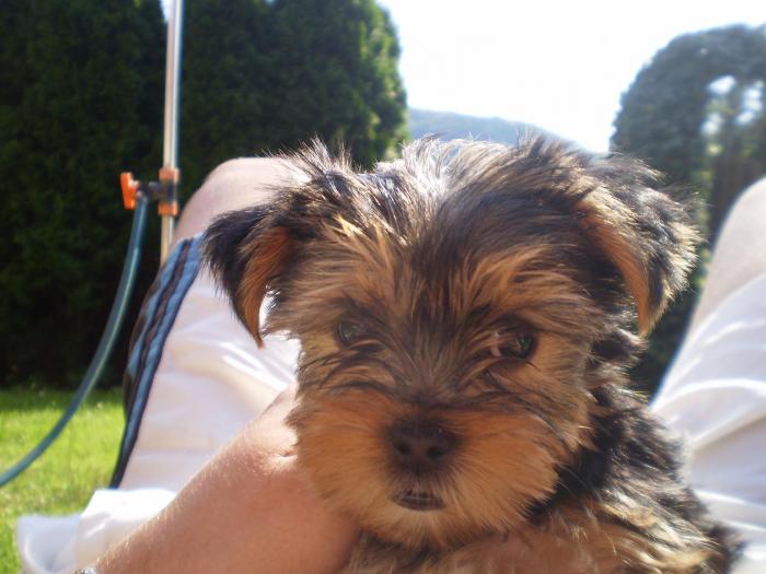 foto k příspěvku  od P3RF3KT