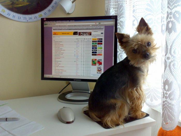 foto k příspěvku  od .Viki