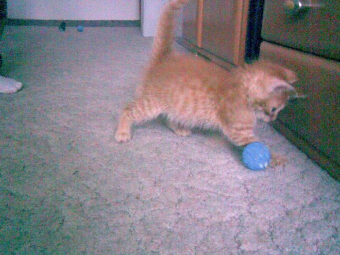 foto k příspěvku  od Bolthorn