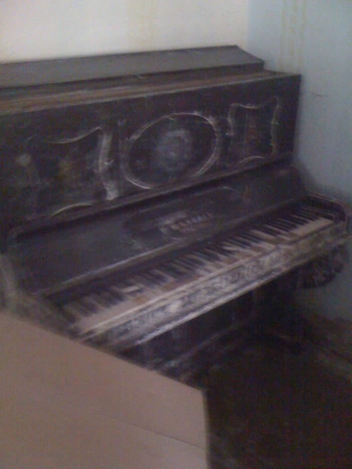 foto k příspěvku  od axetom