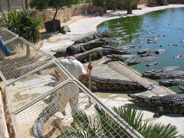 foto k příspěvku  od /// MiŠeL ///