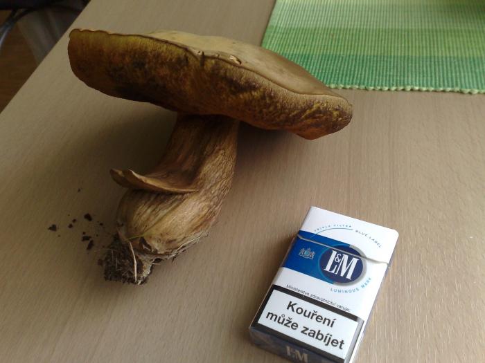 foto k příspěvku  od Phitypaldy