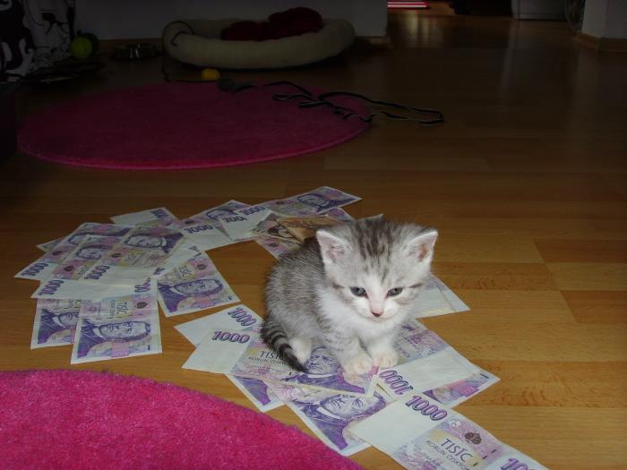 foto k příspěvku  od D-door