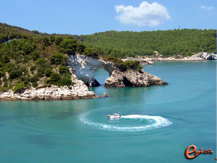 foto k příspěvku  od Crimson