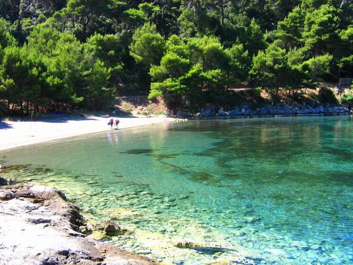 foto k příspěvku  od Crimson