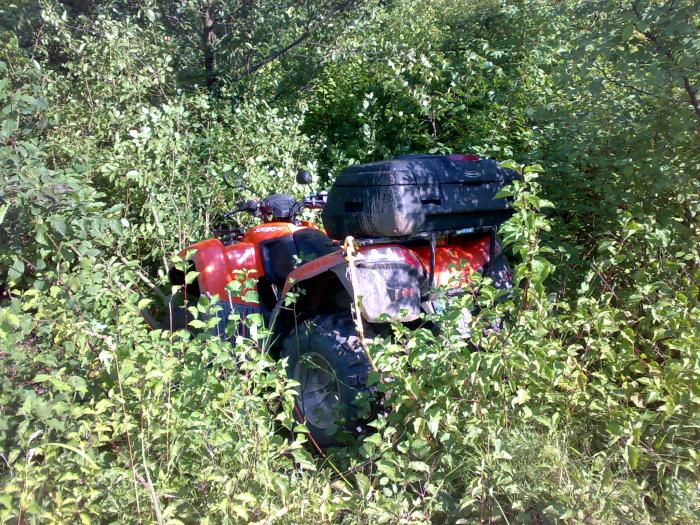 foto k příspěvku  od BALI