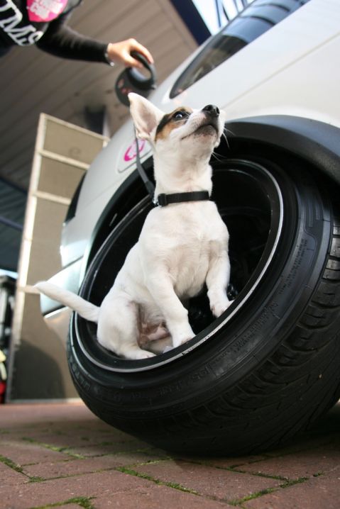 foto k příspěvku  od Ondry 2.0 20v