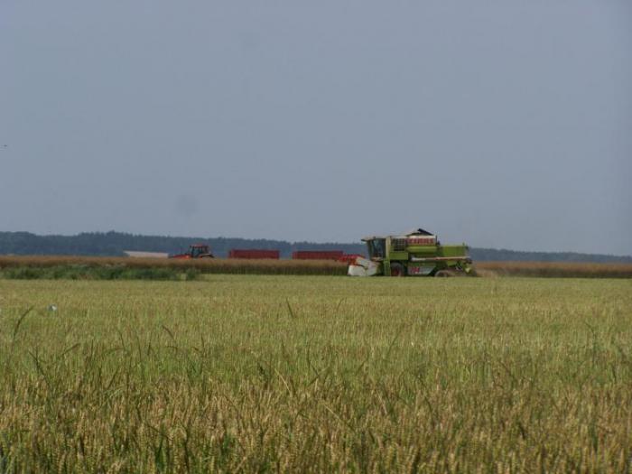 foto k příspěvku  od Kesam