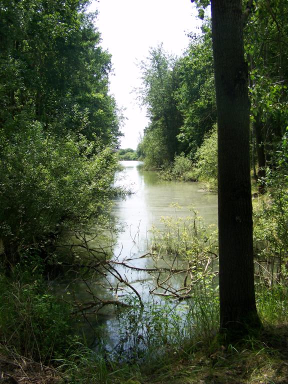 foto k příspěvku  od Kesam