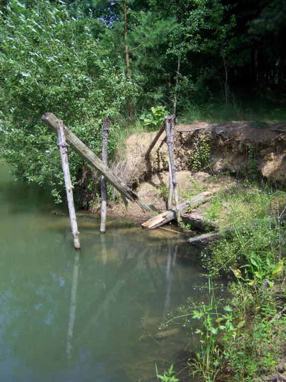 foto k příspěvku  od Kesam