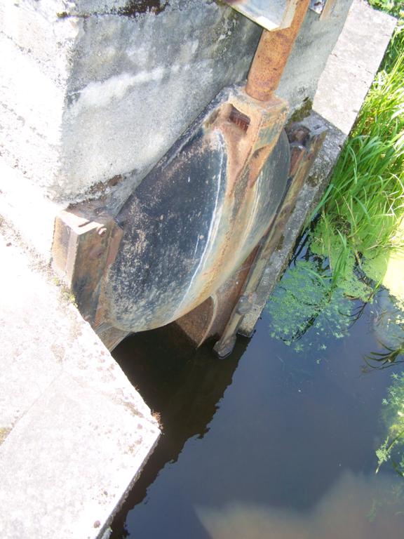 foto k příspěvku  od Kesam