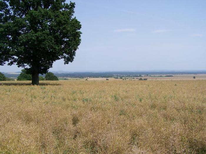 foto k příspěvku  od Kesam