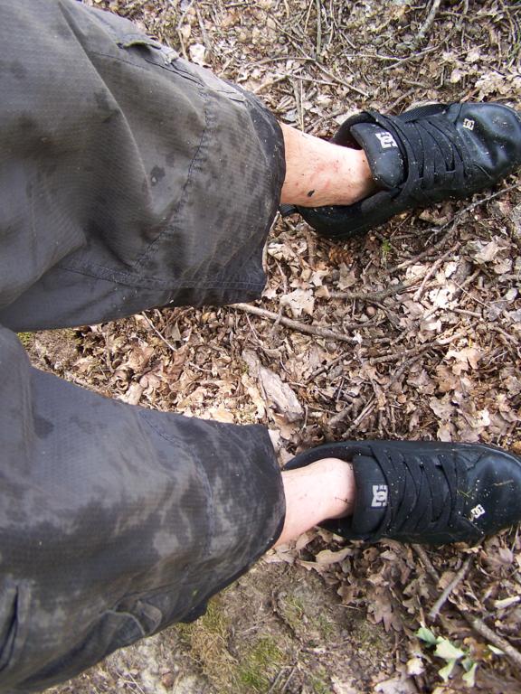 foto k příspěvku  od Kesam