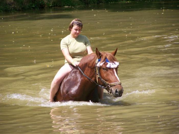 foto k příspěvku  od Kesam