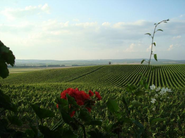 foto k příspěvku  od X-sat