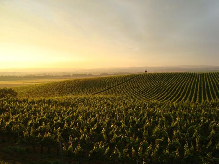 foto k příspěvku  od X-sat