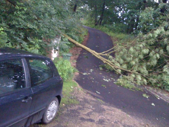 foto k příspěvku  od johanik