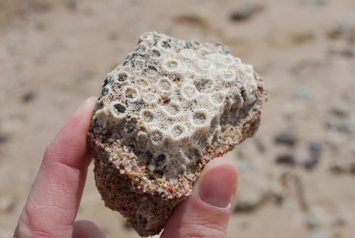 foto k příspěvku  od Tuner#2