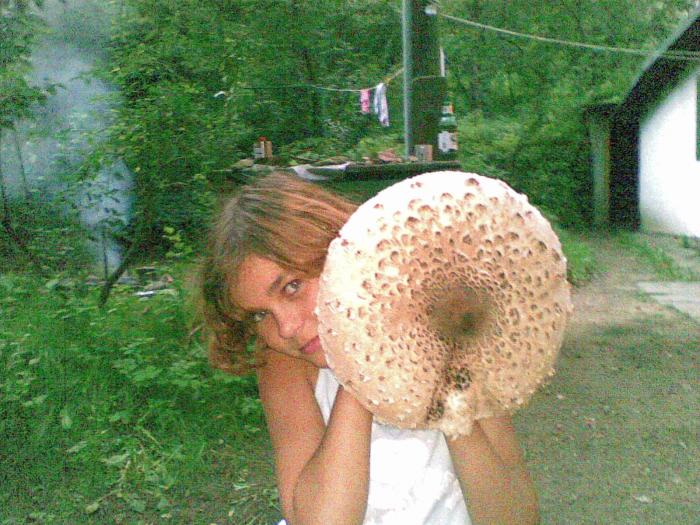 foto k příspěvku  od Zephyr