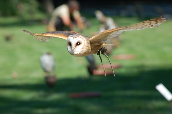foto k příspěvku  od SilverGhost