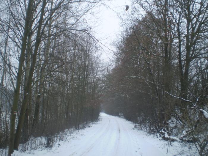 foto k příspěvku  od škodovkář