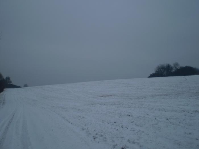 foto k příspěvku  od škodovkář