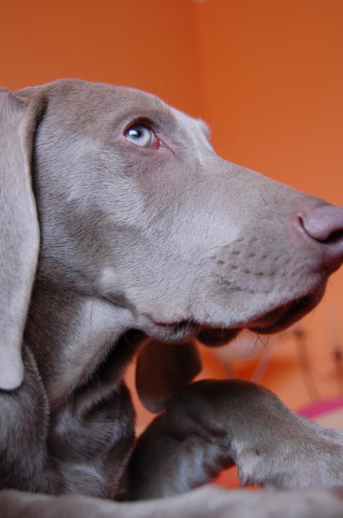 foto k příspěvku  od Gervis