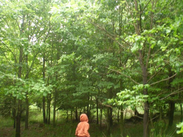 foto k příspěvku  od škodovkář