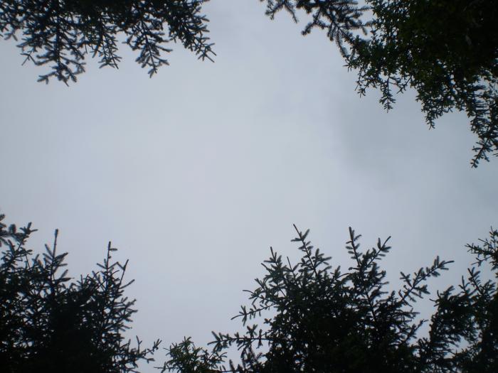 foto k příspěvku  od škodovkář