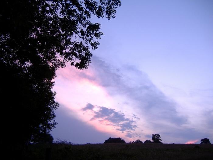 foto k příspěvku  od Bolthorn